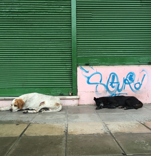 La Boca - Dog Day Afternoon