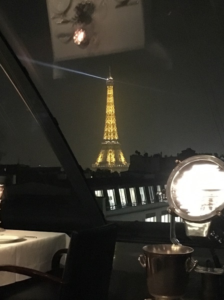 loiseau-blanc-00-eiffel-tower